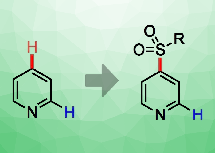 Sulfonylation of Pyridine via Base-Mediated Site Selectivity